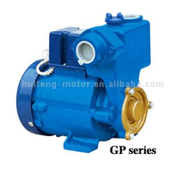  Self-Priming Peripheral Pump ( Self-Priming Peripheral Pump)