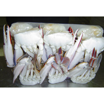  Cut Swimming Crabs ( Cut Swimming Crabs)