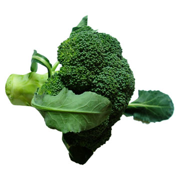  Fresh Broccoli (Fresh Brocoli)
