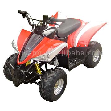  ATV (110cc) (ATV (110cc))