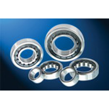  Cylindrical Roller Bearings (Roulements à rouleaux cylindriques)