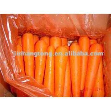  Fresh Preserved Carrot (Frais, conservés aux carottes)