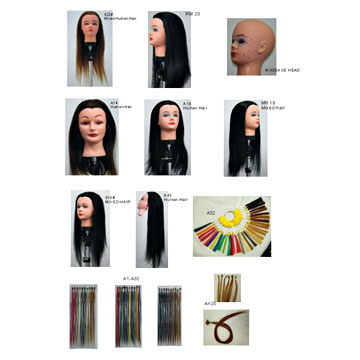  Hair Extensions and Mannequins ( Hair Extensions and Mannequins)