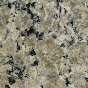  Butterfly Yellow Granite Slab / Tile (Papillon jaune Granit Slab / Tile)