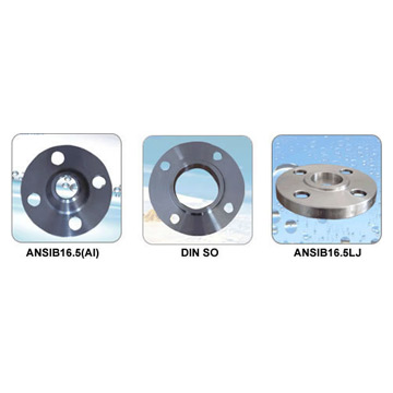  Flanges ( Flanges)