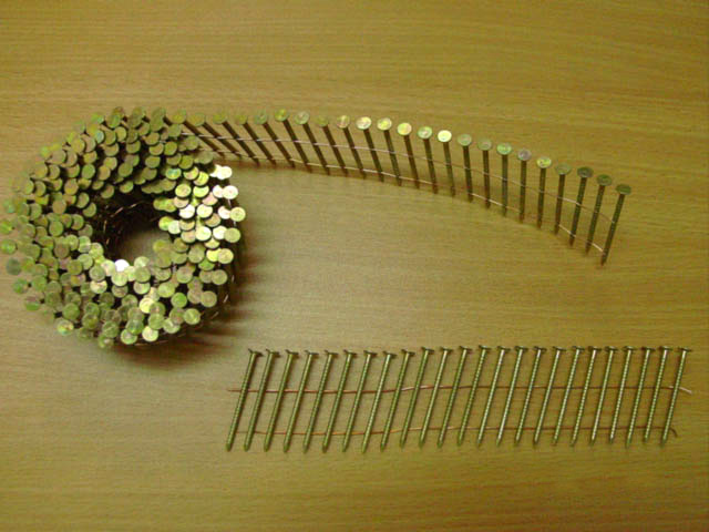  Stainless Steel Coil Nails