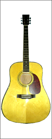  Acoustic Guitar ( Acoustic Guitar)