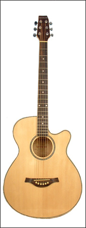  Acoustic Guitar ( Acoustic Guitar)