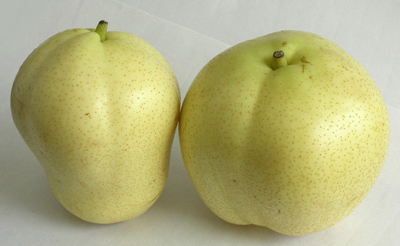  Su Pears (Su Poires)