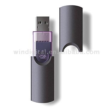  USB Flash Drive ( USB Flash Drive)