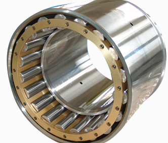  Cylindrical Roller Bearings (Zylinderrollenlager)