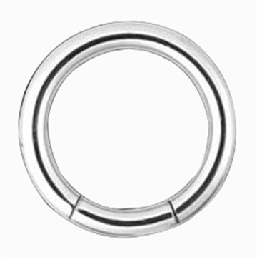 Segment Ring (Segment Ring)