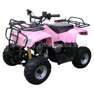  ATV (110cc) (ATV (110cc))