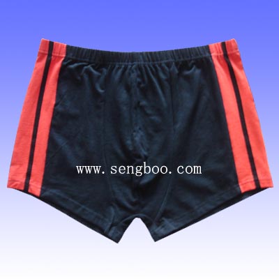  Men`s Boxer Shorts (Мужские шорты боксера)