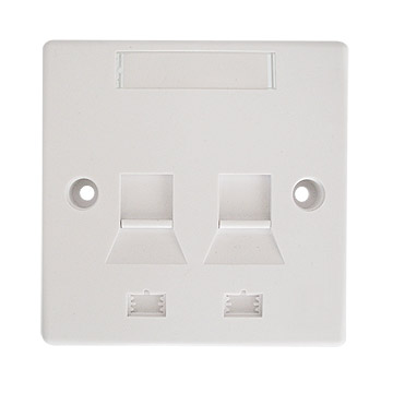  Two Port Wall Plate ( Two Port Wall Plate)