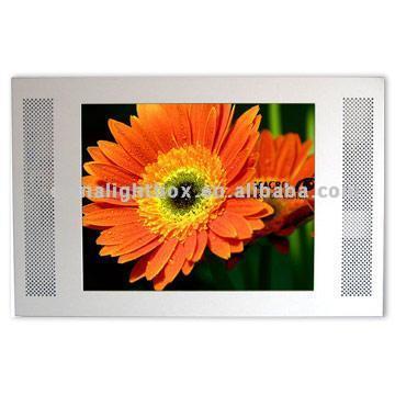  15 inch LCD Advertising Broadcaster (15 pouces LCD Publicité Broadcaster)