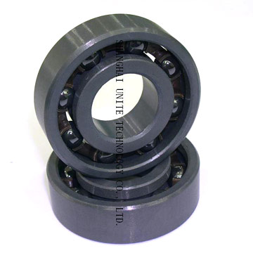  Full Ceramic Bearing (Full Ceramic Bearing)