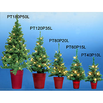  Pine Tree (Pine Tr)