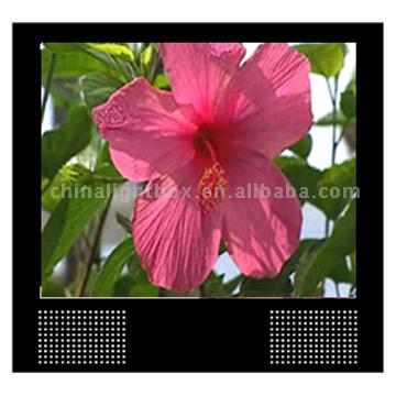  17 inch Network LCD Digital Poster