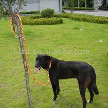  Dog Leash And Collar (Собачьего поводка и воротника)