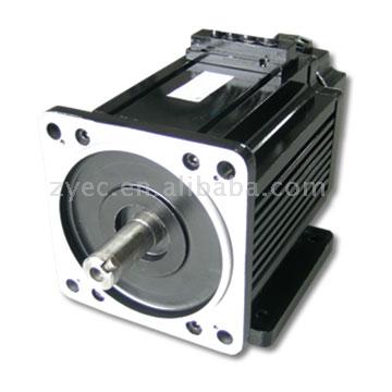  PM Brushless DC Motor (PM brushless DC Motor)