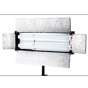 Digital Fluorescent Light (Digital Fluorescent Light)