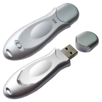  2GB USB Flash Disk (2GB USB Flash Disk)