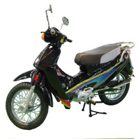  LPG Scooter (СНГ Scooter)