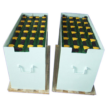  Forklift Car Battery ( Forklift Car Battery)