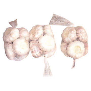  Fresh Garlic