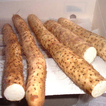  Fresh Yam (Fresh Yam)