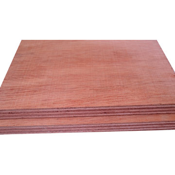  Red Canarium Plywood ( Red Canarium Plywood)