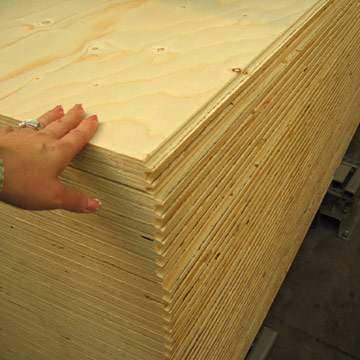  Pine T&G Plywood (Pine T & G Фанера)