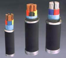  Polyvinyl Chloride Insulated Power Cable