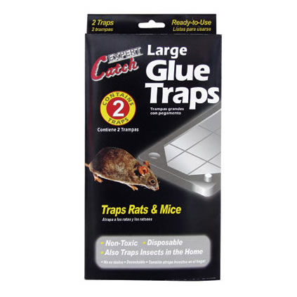  Mouse Glue (Souris Glue)