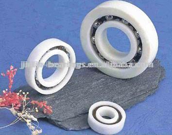  Plastic Bearing ( Plastic Bearing)