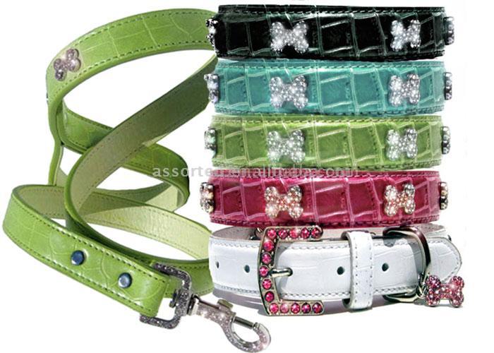  Dog Collar and Lead ( Dog Collar and Lead)