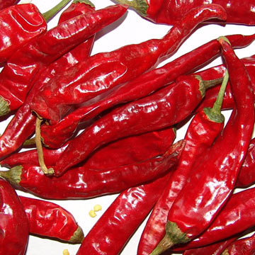 Wangdu Chili (Wangdu Chili)