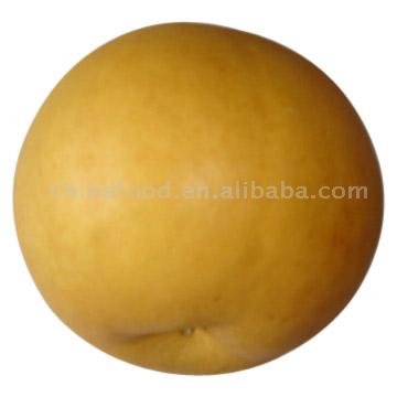  Yuanhuang Pear ( Yuanhuang Pear)