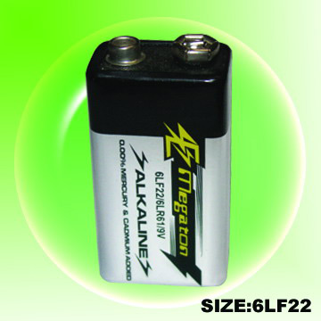 9V Alkaline Batterie (9V Alkaline Batterie)