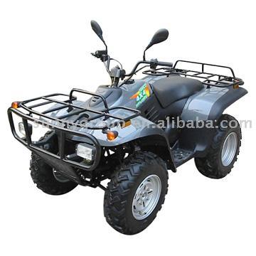  ATV (300cc, 4 x 4 Drive, Water Cooled) (ATV (300cc, 4 x 4, promenade, refroidi par eau))