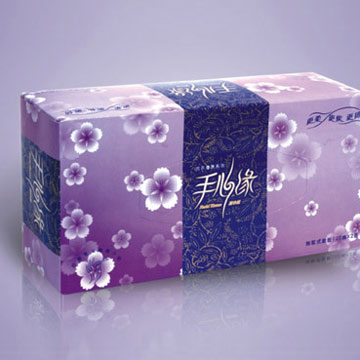 Box Facial Tissue (Boîte Mouchoirs)