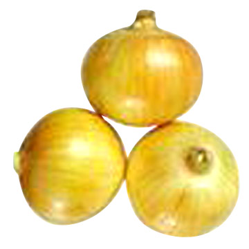  Onion (Oignon)