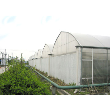  Double-Layer Inflated Film Greenhouse (Двухслойный Завышенные Фильм Парниковый)