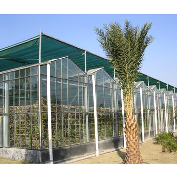  Glass Greenhouse ( Glass Greenhouse)