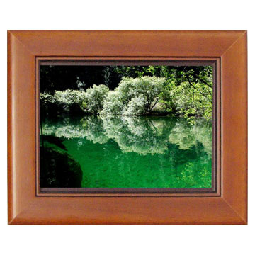  Digital Picture Frame (Digital Picture Frame)