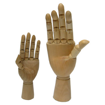  Hand Model (Рука модели)