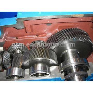  Spur Gearbox (Spur Gearbox)
