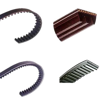  Auto Belts (Auto Ceintures)