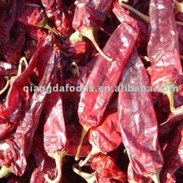  American Red Chili ( American Red Chili)